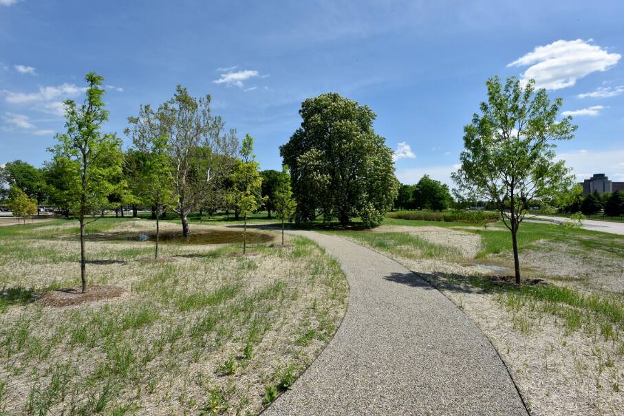 New landscaping projects for the World Headquarters campus were completed in December 2017. New landscaping projects for the World Headquarters campus were completed in December 2017.